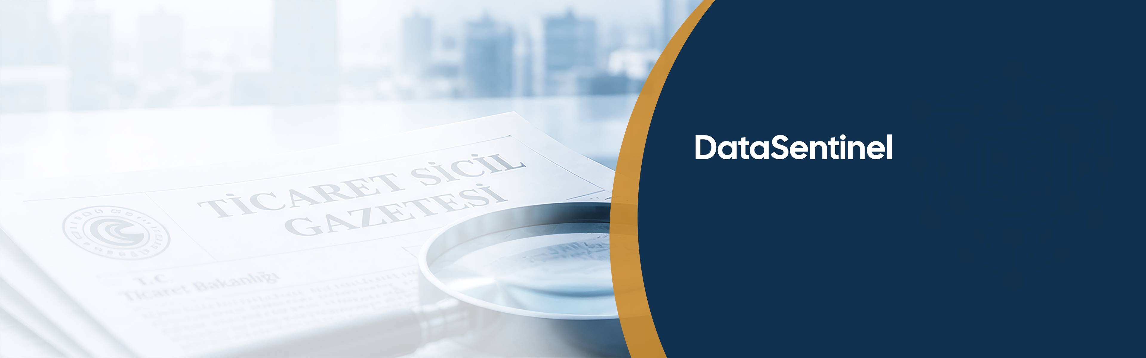DataSentinel